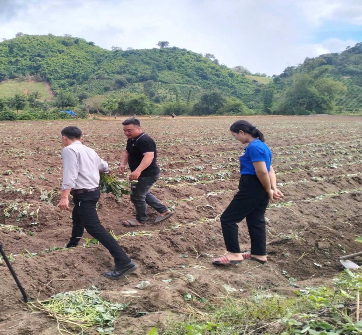 Đoàn thanh niên xã Dur Kmăl phát triển kinh tế từ nguồn vốn vay của Ngân hàng Chính sách xã hội huyện