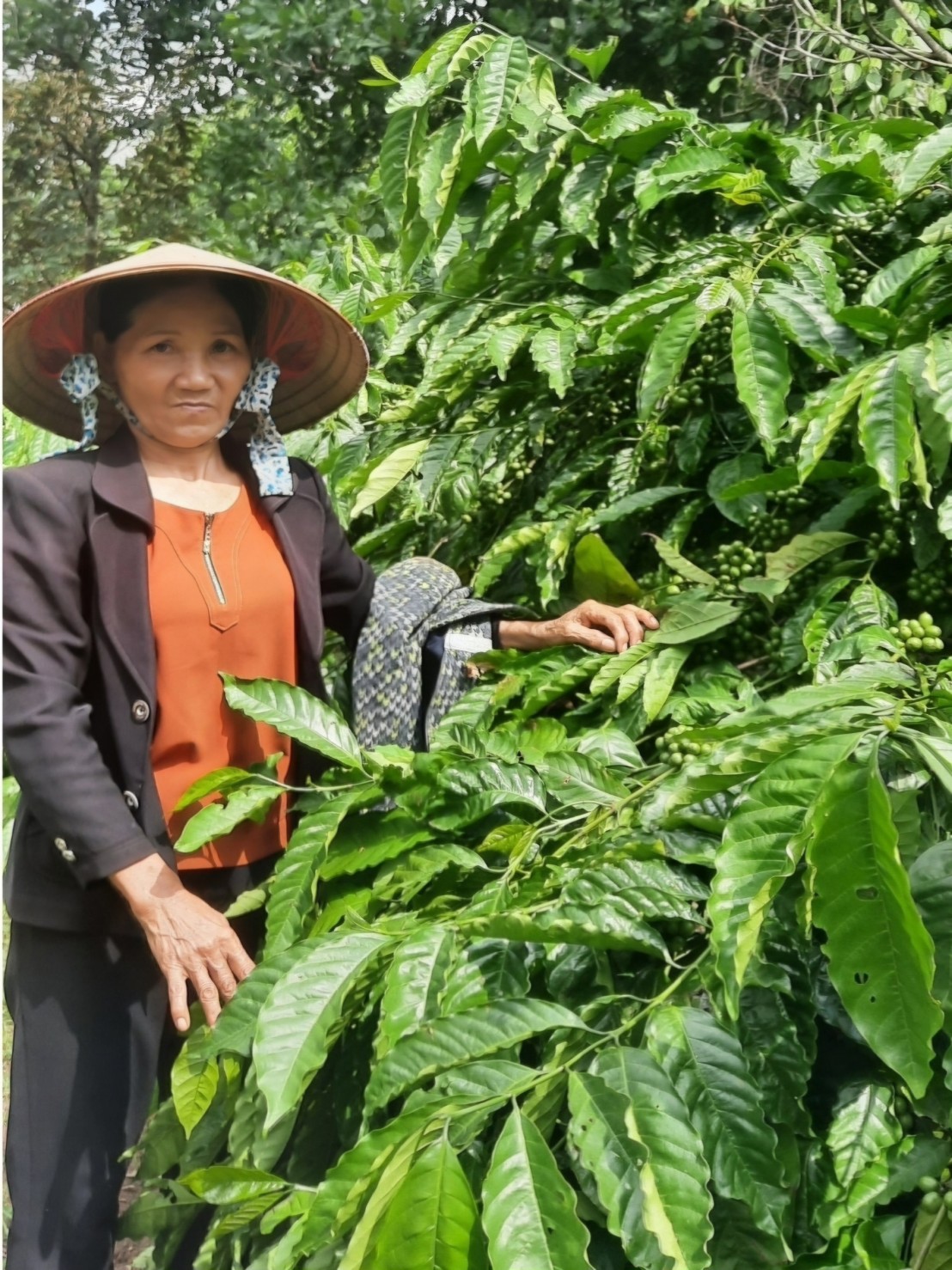 Gương phụ nữ điển hình trong phát triển kinh tế