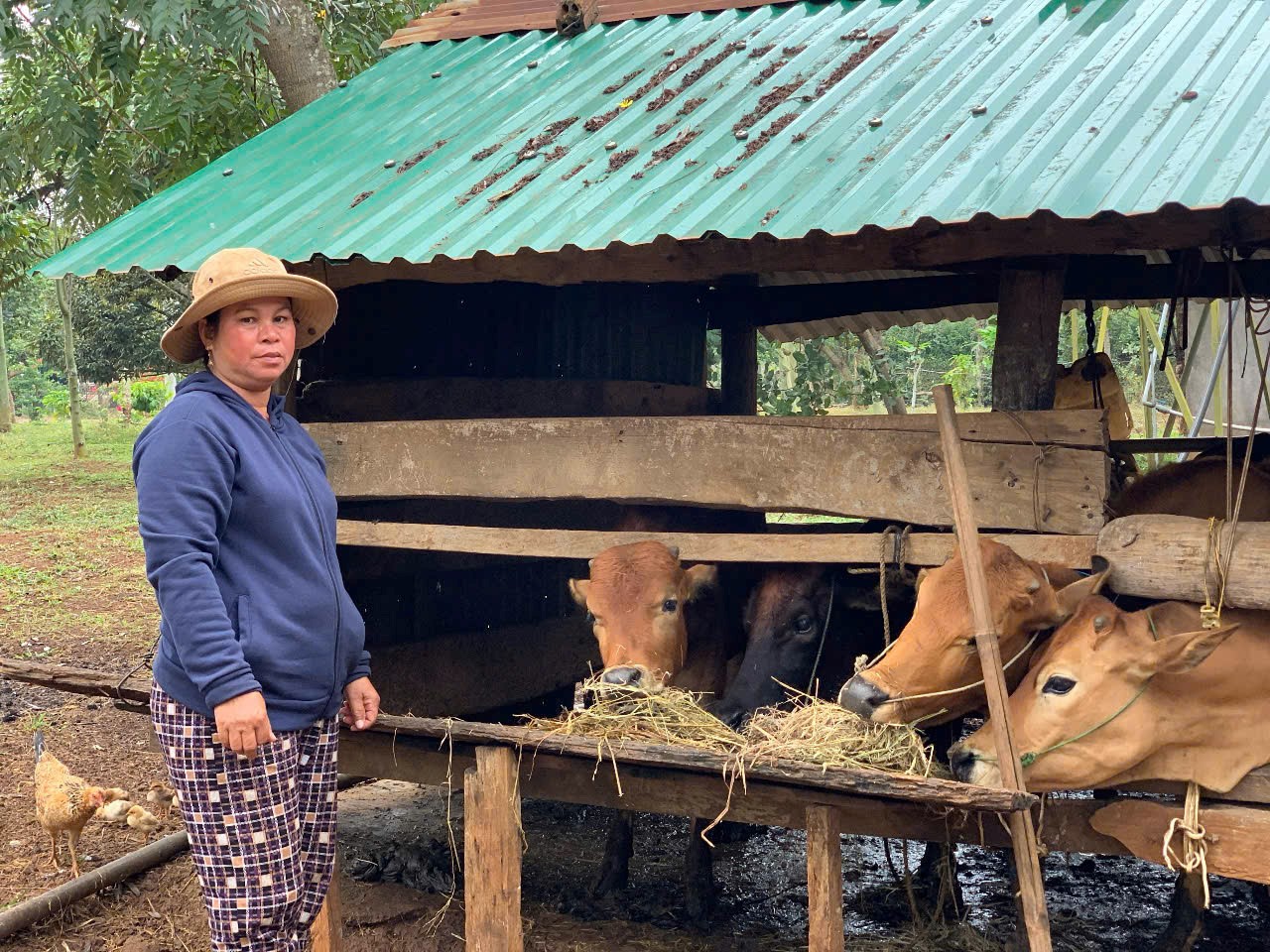 Gương phụ nữ điển hình trong phát triển kinh tế
