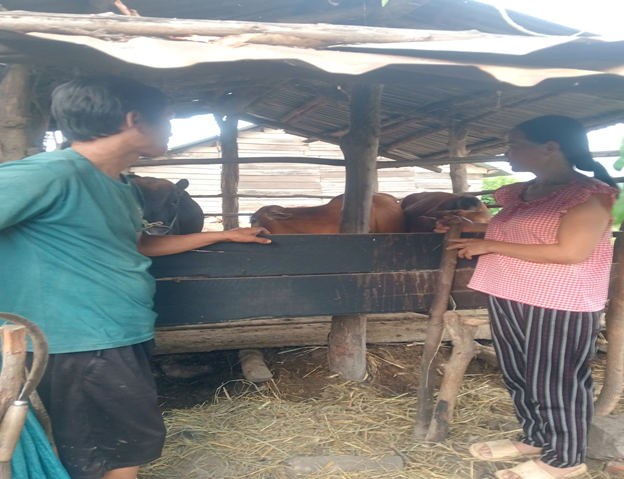 Gương Tổ trưởng Tổ Tiết kiệm và vay vốn tiêu biểu