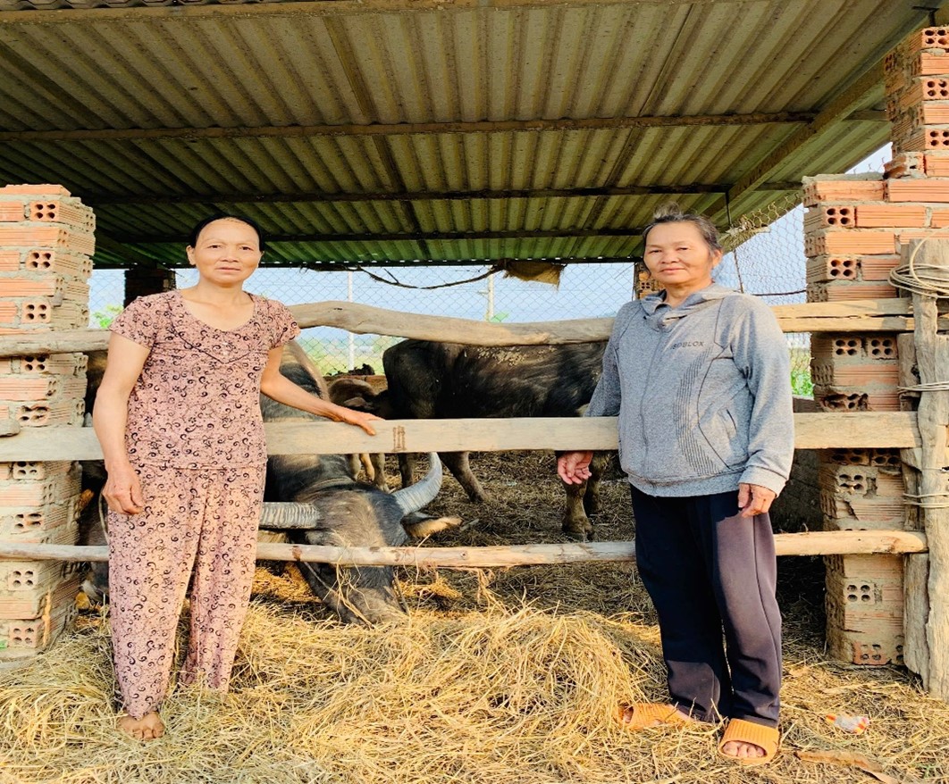 Hộ vay vươn lên thoát nghèo bền vững nhờ tiếp cận các nguồn vốn vay của Ngân hàng Chính sách Xã hội